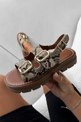 CHARLIE Chunky Buckle Sandals - Snake