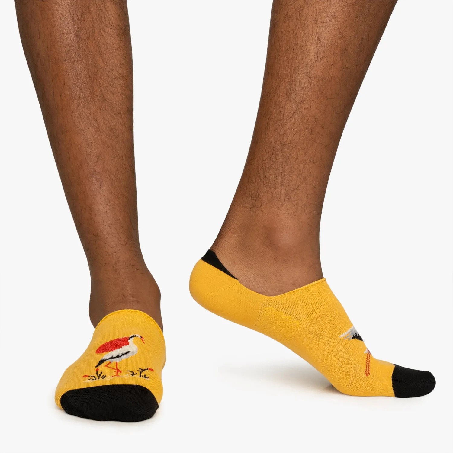 Cranes No Show - Yellow